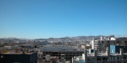 The View