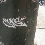 DSCN5541