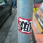 DSCN5584