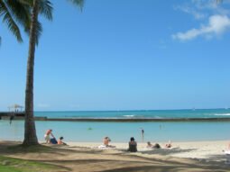 Spring in Waikiki