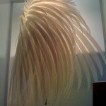 IMG_0461