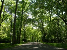 East Coast Green