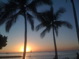 Sunset, Waikiki