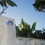 DSCF0495