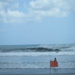 DSCF0508