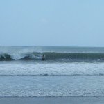 DSCF0509