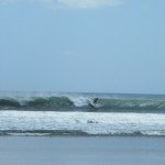 DSCF0515