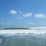 DSCF0526
