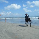 DSCF0550