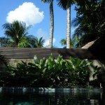 DSCF0553