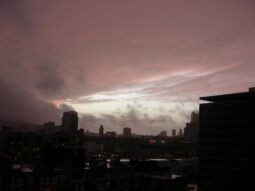 Subtle Pinkish Gray Dusk