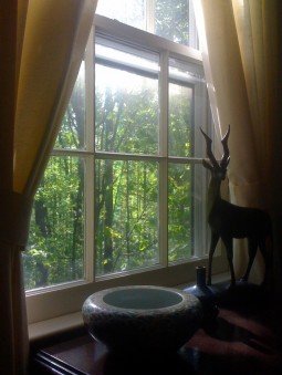 Morning View