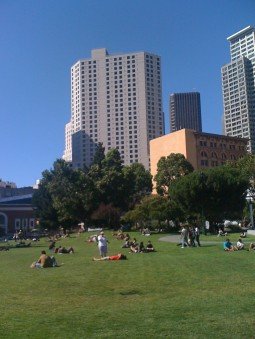 Yerba Buena