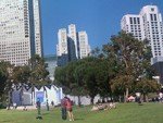 IMG_0961