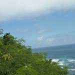 P1000796
