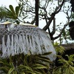 P1010043