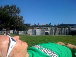 Sunny day at the park
