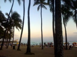 The Magic Hour
