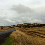 image_01