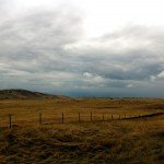 image_02
