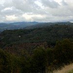 image_07