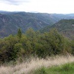 image_08