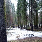 image_11