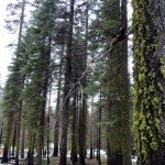 image_12