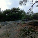 image_20