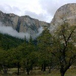 image_31