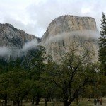 image_33