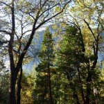 image_35