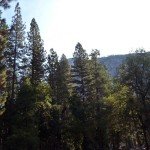 image_38