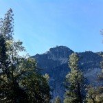 image_41