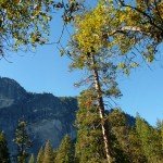 image_47