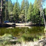 image_48