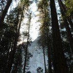 image_62