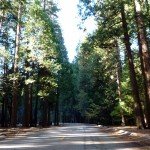 image_64