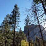 image_76