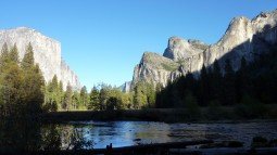 image_77