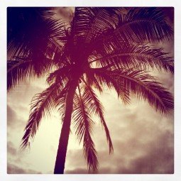 Hawaii