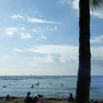 eDSCF0569