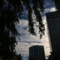 Up