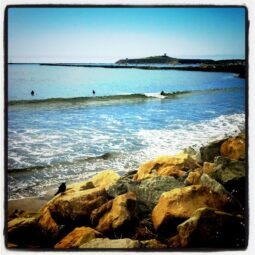 Surfing at the Jetty