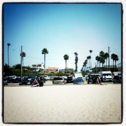 Palms at Seal Beach