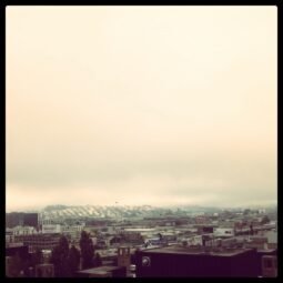 Fog Layer