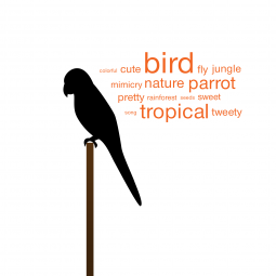 Birdy Tag Cloud