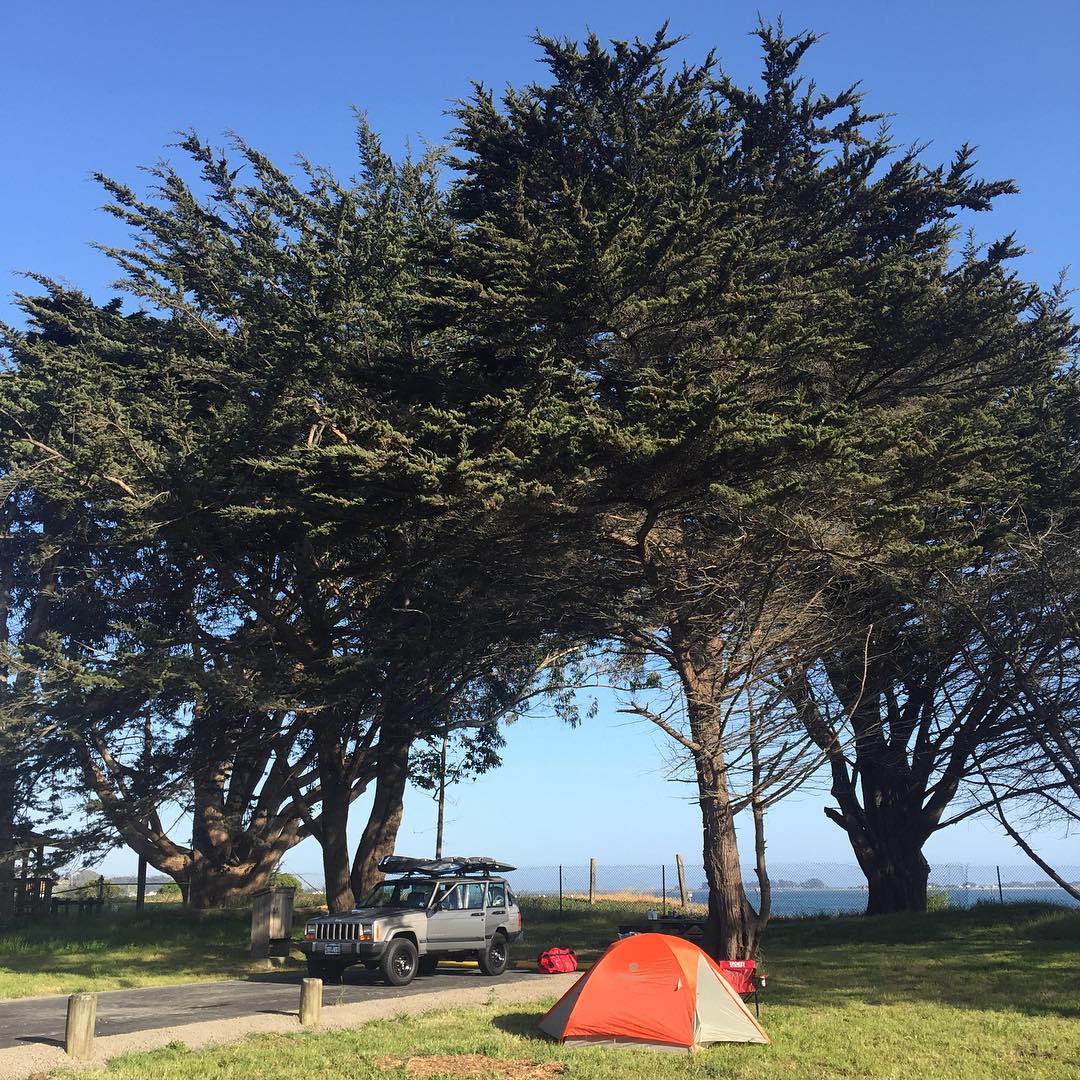 home for tonight: view of bodega bay and epic trees
