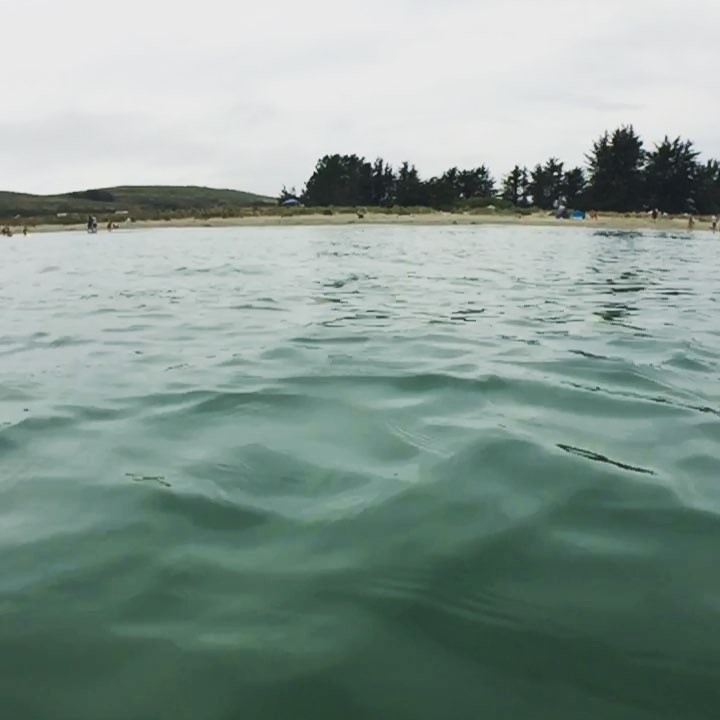 floating in the ocean