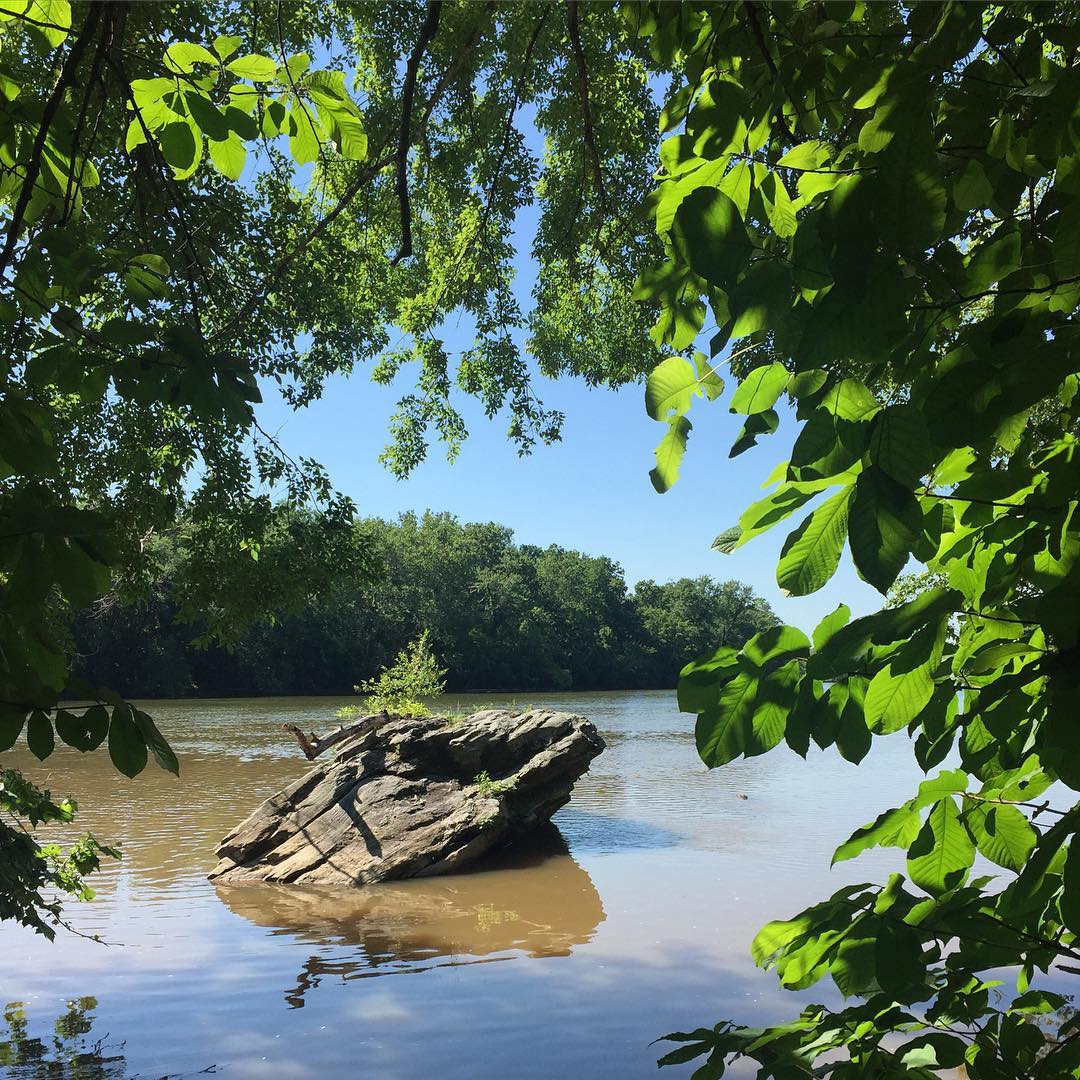 the Potomac